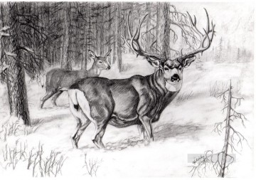 dibujo a lápiz de ciervo en blanco y negro Pinturas al óleo